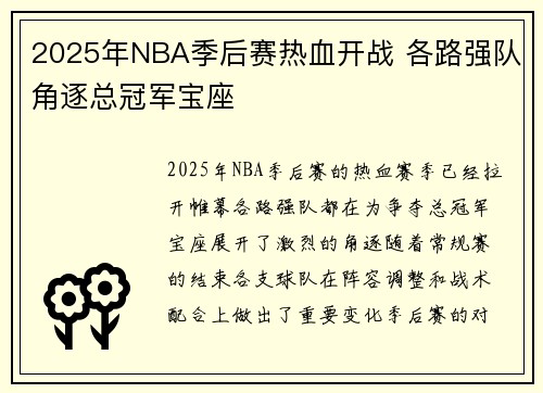 2025年NBA季后赛热血开战 各路强队角逐总冠军宝座
