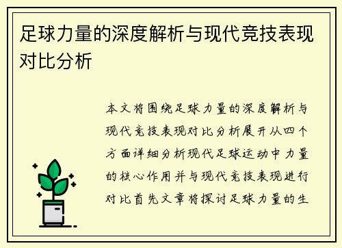 足球力量的深度解析与现代竞技表现对比分析