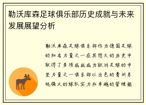 勒沃库森足球俱乐部历史成就与未来发展展望分析
