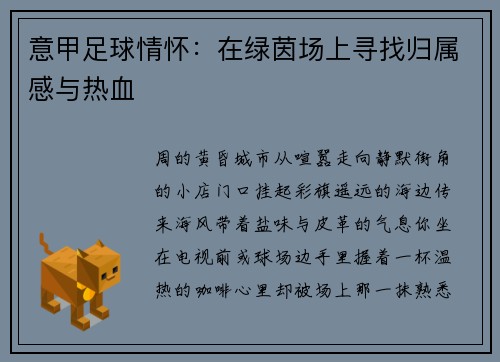 意甲足球情怀：在绿茵场上寻找归属感与热血