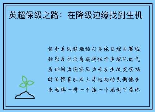 英超保级之路：在降级边缘找到生机